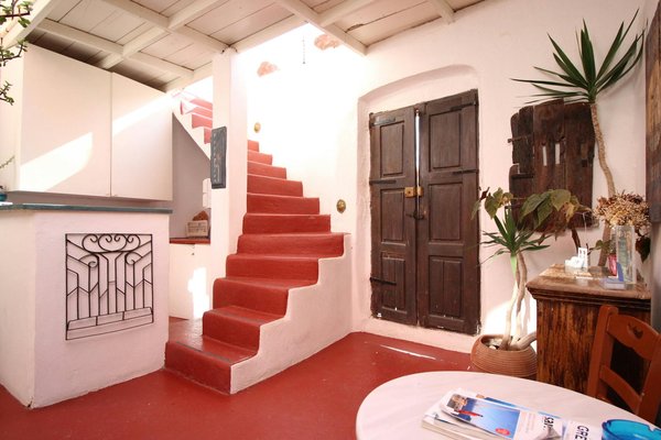 Comment organiser une croisière dans les îles Galápagos pour observer la faune unique ?